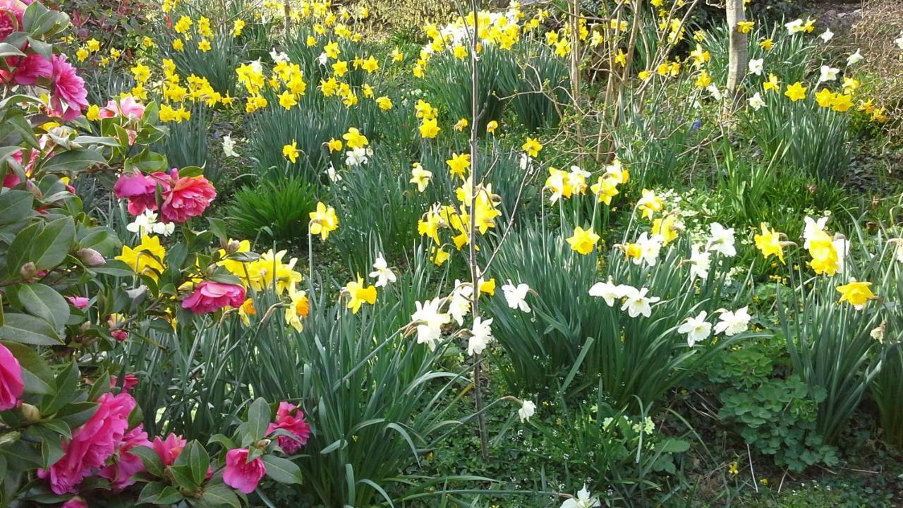 Owletts Barn B&B Bodmin Bagian luar foto